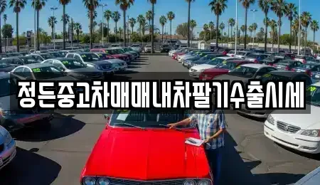 경기도 안성시 고삼면 중고차매매 전문 정든중고차매매내차팔기수출시세