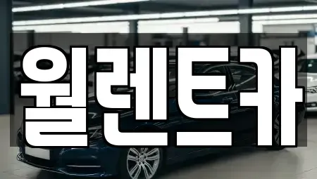 경기도 안성시 서인동 렌트카 전문 월렌트카