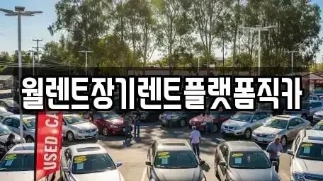 경기도 안성시 서인동 장기렌트카 전문 월렌트장기렌트플랫폼직카