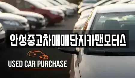 경기도 안성시 서인동 중고차 전문 안성중고차매매단지카맨모터스