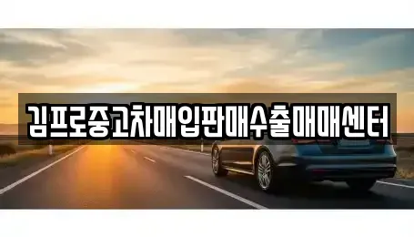 경기도 안성시 서인동 중고차매입 전문 김프로중고차매입판매수출매매센터