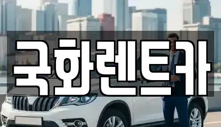 경기도 양주시 은현면 렌트카 전문 국화렌트카