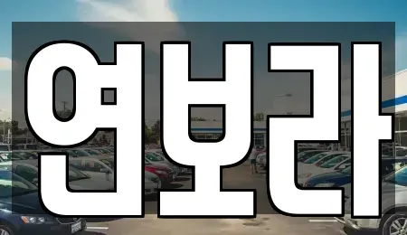 경기도 양주시 은현면 렌트카 전문 연보라
