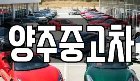 경기도 양주시 은현면 중고차 전문 양주중고차