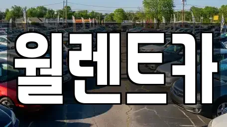 경기도 여주시 연양동 렌트카 전문 월렌트카