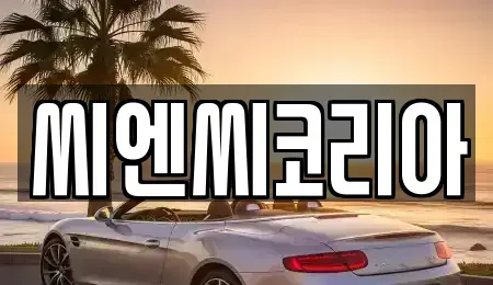 경기도 오산시 내삼미동 단기렌트카 전문 씨엔씨코리아