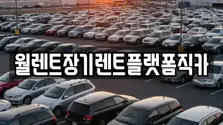 경기도 오산시 내삼미동 장기렌트카 전문 월렌트장기렌트플랫폼직카