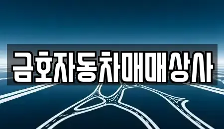 경기도 오산시 내삼미동 중고차매매 전문 금호자동차매매상사