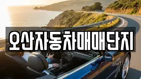 경기도 오산시 내삼미동 중고차매매 전문 오산자동차매매단지