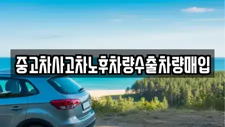 경기도 오산시 내삼미동 중고차매입 전문 중고차사고차노후차량수출차량매입