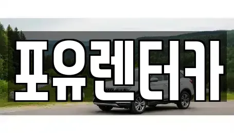 경기도 용인시 기흥구 구갈동 장기렌트카 전문 포유렌터카