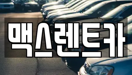 경기도 용인시 기흥구 상갈동 렌트카 전문 맥스렌트카
