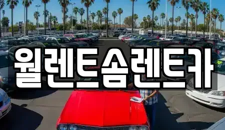 경기도 용인시 기흥구 상갈동 렌트카 전문 월렌트솜렌트카