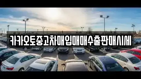 경기도 용인시 기흥구 상갈동 중고차매매 전문 카카오토중고차매입매매수출판매시세