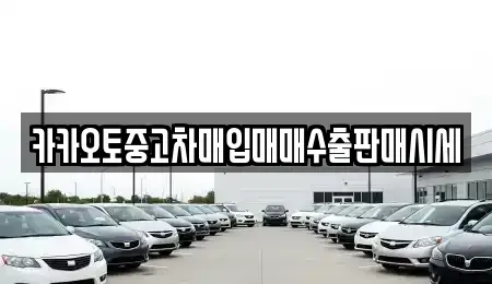 경기도 용인시 기흥구 지곡동 중고차매입 전문 카카오토중고차매입매매수출판매시세