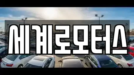 경기도 용인시 기흥구 하갈동 중고차 전문 세계로모터스