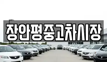 경기도 용인시 기흥구 하갈동 중고차 전문 장안평중고차시장