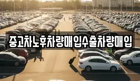 경기도 용인시 기흥구 하갈동 중고차 전문 중고차노후차량매입수출차량매입