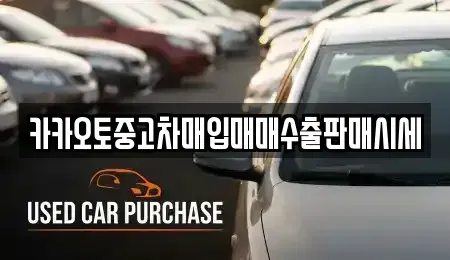 경기도 용인시 기흥구 하갈동 중고차매입 전문 카카오토중고차매입매매수출판매시세