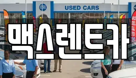 경기도 용인시 처인구 호동 렌트카 전문 맥스렌트카