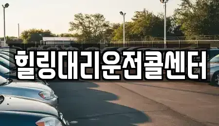 경기도 용인시 처인구 호동 렌트카 전문 힐링대리운전콜센터