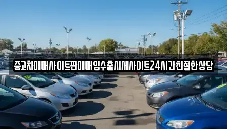 경기도 용인시 처인구 호동 중고차 전문 중고차매매사이트판매매입수출시세사이트24시간친절한상담