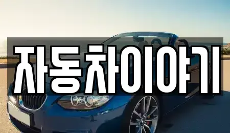 경기도 이천시 대포동 중고차매매,단기렌트카,중고차매입,장기렌트카,중고차,렌트카