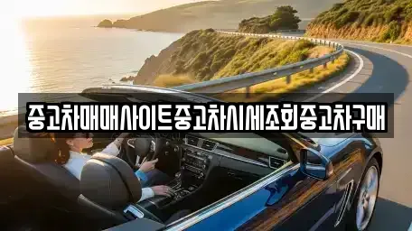 경기도 이천시 대포동 중고차매매 전문 중고차매매사이트중고차시세조회중고차구매