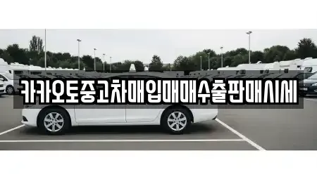 경기도 이천시 율면 중고차매입 전문 카카오토중고차매입매매수출판매시세