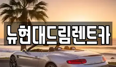 경기도 이천시 장록동 렌트카 전문 뉴현대드림렌트카