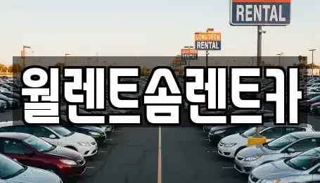 경기도 파주시 교하동 렌트카 전문 월렌트솜렌트카