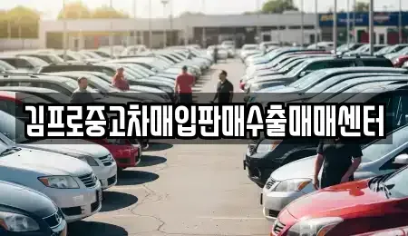 경기도 파주시 교하동 중고차매입 전문 김프로중고차매입판매수출매매센터