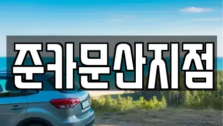 경기도 파주시 문산읍 렌트카 전문 준카문산지점