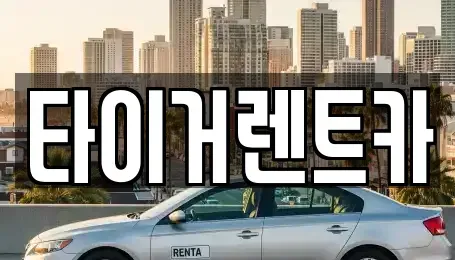 경기도 파주시 문산읍 렌트카 전문 타이거렌트카