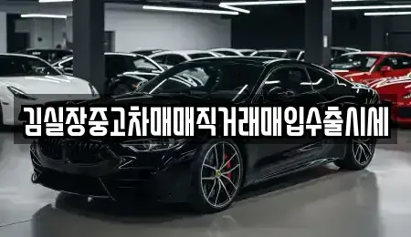 경기도 파주시 문산읍 중고차매입 전문 김실장중고차매매직거래매입수출시세