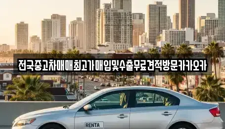 경기도 파주시 문산읍 중고차매입 전문 전국중고차매매최고가매입및수출무료견적방문카카오카