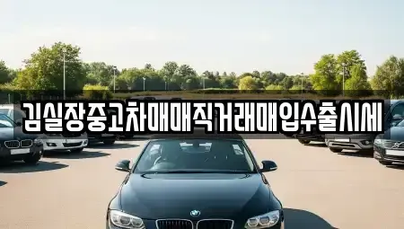경기도 파주시 장단면 중고차매입 전문 김실장중고차매매직거래매입수출시세