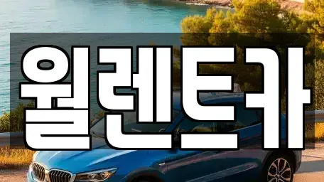 경기도 평택시 평택동 렌트카 전문 월렌트카