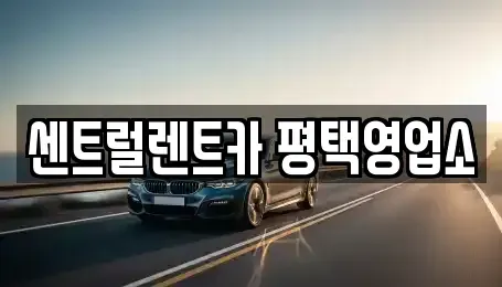 경기도 평택시 평택동 장기렌트카 전문 센트럴렌트카 평택영업소