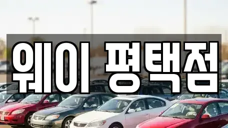 경기도 평택시 평택동 장기렌트카 전문 웨이 평택점