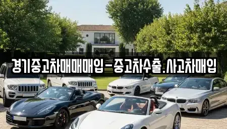 경기도 평택시 평택동 중고차 전문 경기중고차매매매입-중고차수출.사고차매입