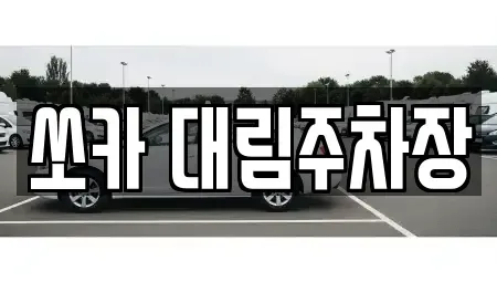 경기도 포천시 신읍동 렌트카 전문 쏘카 대림주차장