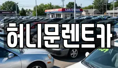 경기도 포천시 신읍동 렌트카 전문 허니문렌트카