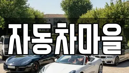 경기도 포천시 신읍동 중고차매매 전문 자동차마을