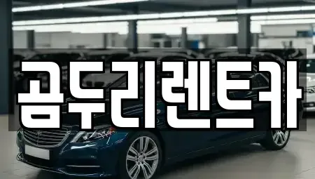 경남 거제시 장목면 렌트카,단기렌트카,장기렌트카,중고차,중고차매매,중고차매입