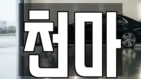 경남 거제시 장목면 렌트카 전문 천마