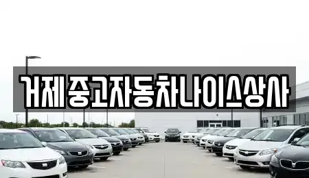 경남 거제시 장목면 중고차 전문 거제중고자동차나이스상사