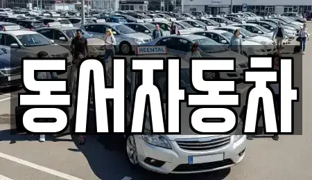 경남 거제시 장목면 중고차 전문 동서자동차