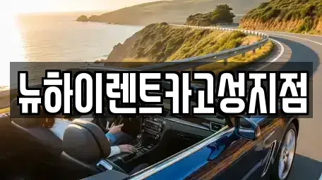 경남 고성군 고성읍 렌트카 전문 뉴하이렌트카고성지점