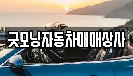경남 고성군 고성읍 중고차 전문 굿모닝자동차매매상사